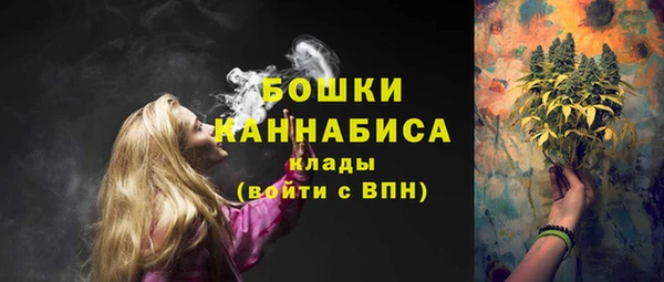 ГАЛЛЮЦИНОГЕННЫЕ ГРИБЫ Армянск