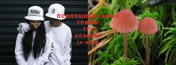 ГАЛЛЮЦИНОГЕННЫЕ ГРИБЫ Армянск