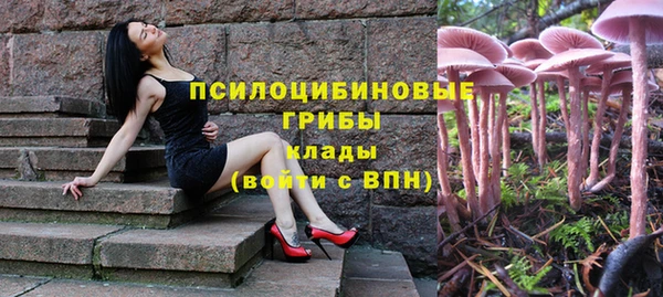 дурь Алексеевка